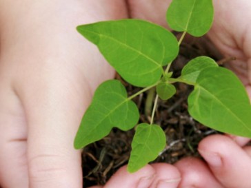 O futuro da reciclagem? Robôs separadores de materiais